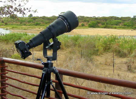 448xNxGimbal-up-DSCN2096-1.jpg.pagespeed