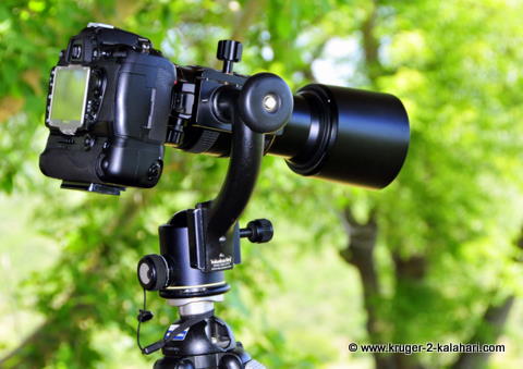 480xNxSidekick_MBU5032_IJFR-1.jpg.pagesp