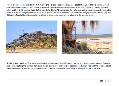 The Photographers Guide to Etosha National Park The Photographers Guide to Etosha National Park