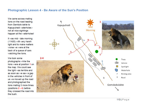 The Photographers Guide to Etosha National Park The Photographers Guide to Etosha National Park