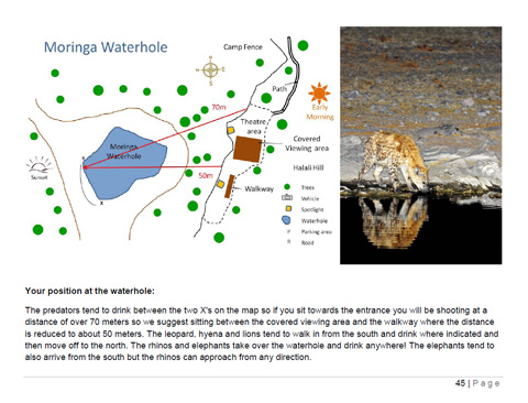 The Photographers Guide to Etosha National Park The Photographers Guide to Etosha National Park