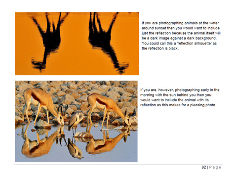 The Photographers Guide to Etosha National Park The Photographers Guide to Etosha National Park