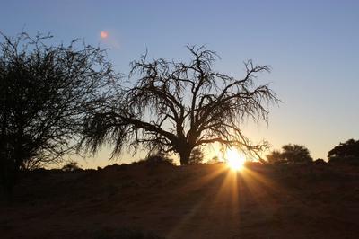 The moment that the sun broke the horizon behind the dune. The moment that the sun broke the horizon behind the dune.
