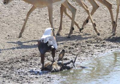 You're getting close You're getting close