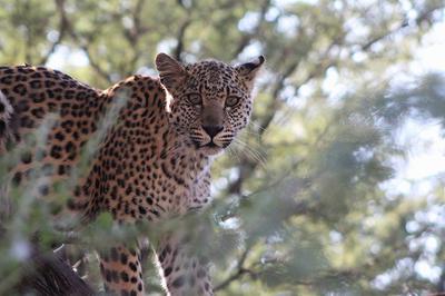 what are you doing out there? what are you doing out there?