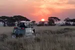 African safari vehicle