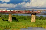 Shalati train on the bridge at golden hour