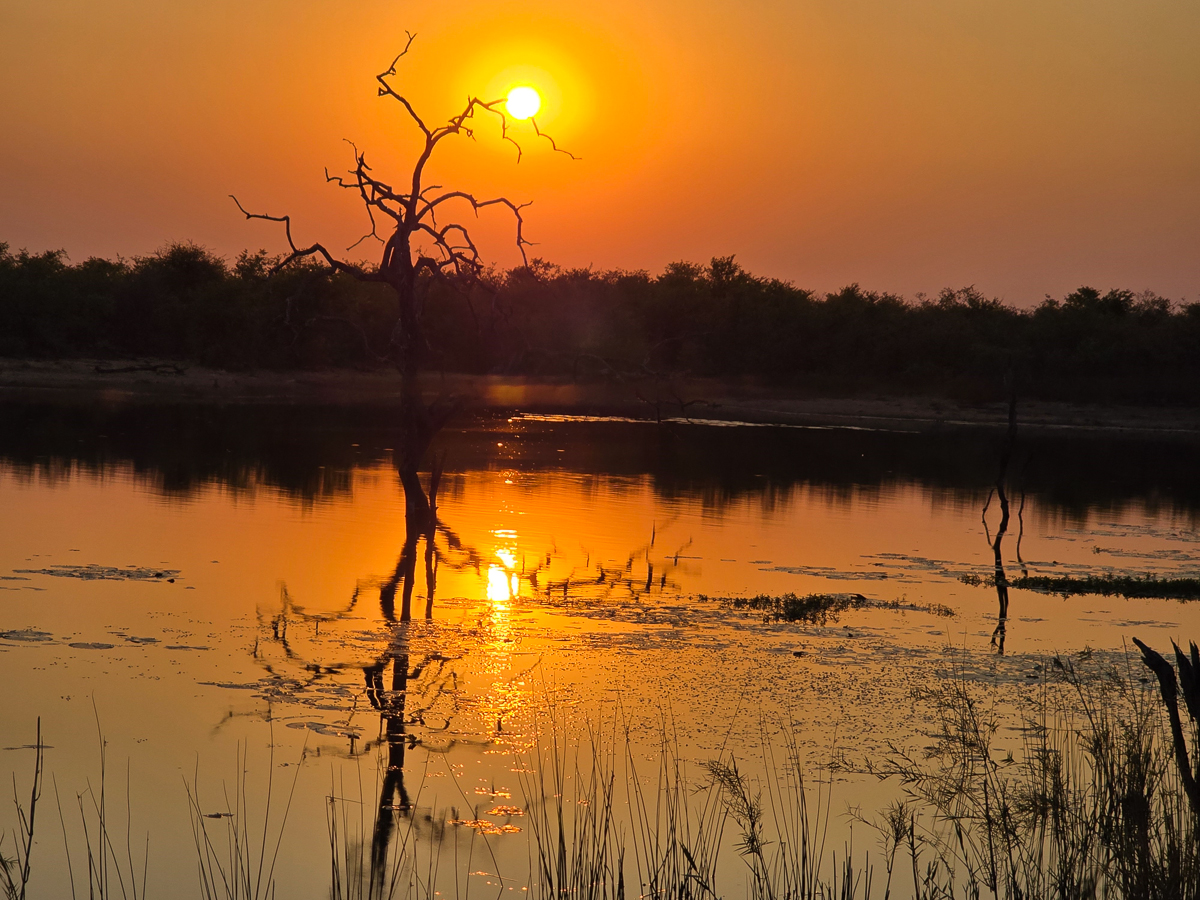 sunset from mopani camp