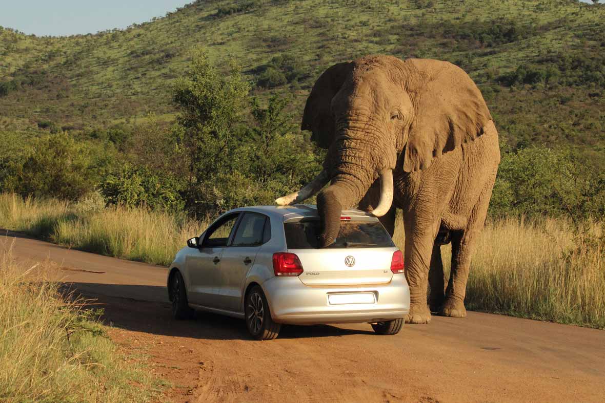 Park Rules are there for protection of the animals, the environment and