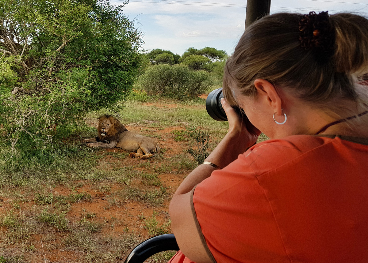Jenny shooting the dark mane Meyiwa male lion