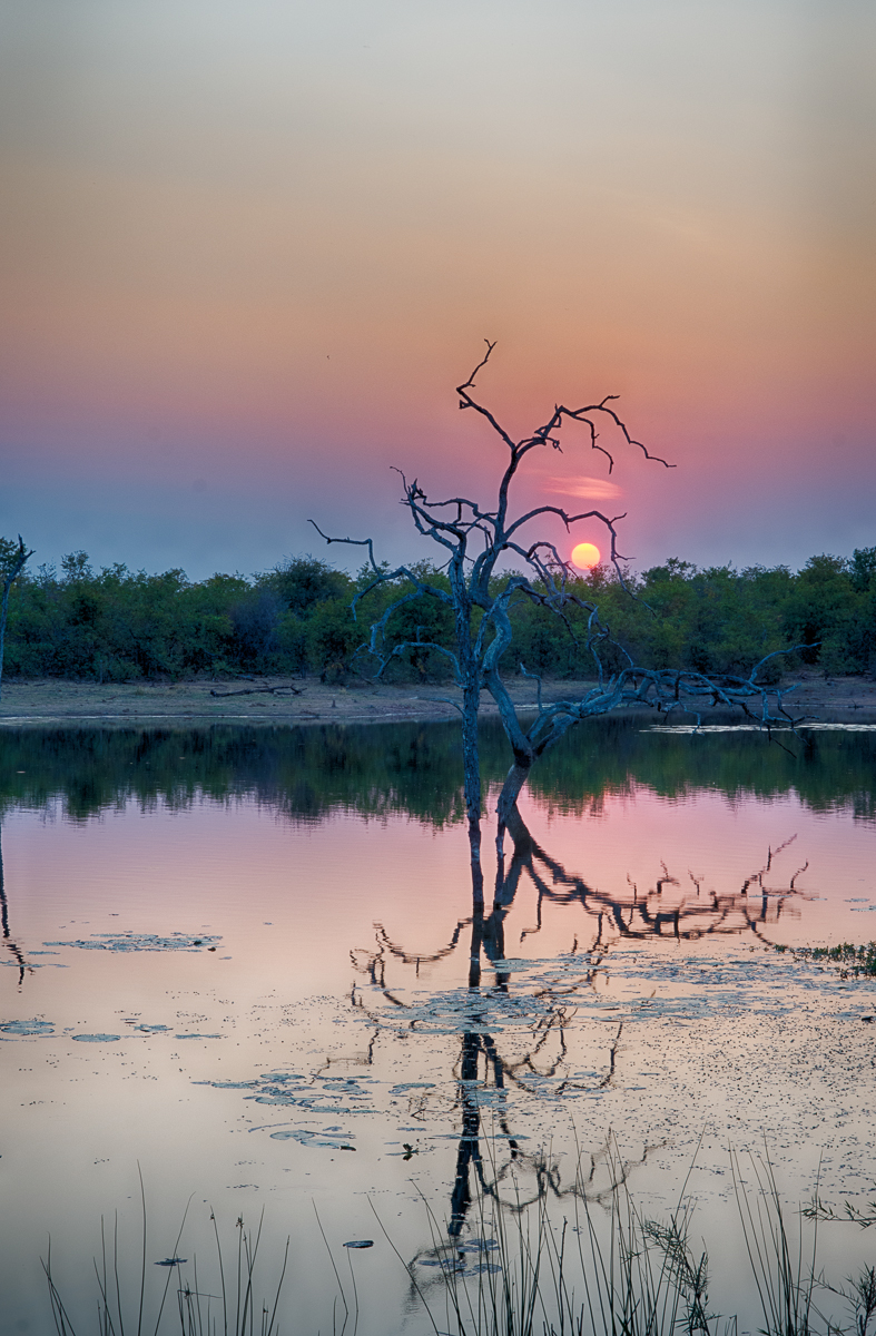 Sunset from Mopani camp