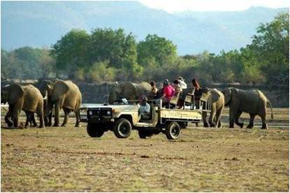 safari in Zambia
