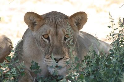 Who's looking at who?!