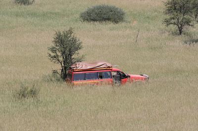 2012 Was also a good year for the Kalahari.