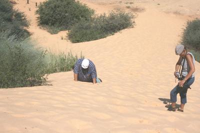 Danie on his knees but made it to the top.