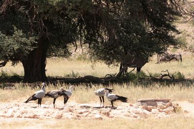 Secretaries convention.