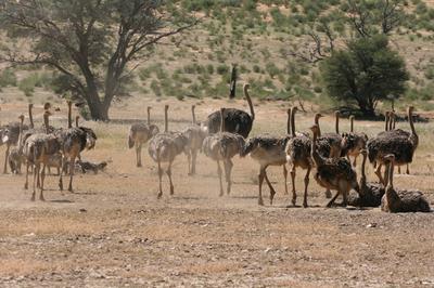 The youth gathering.