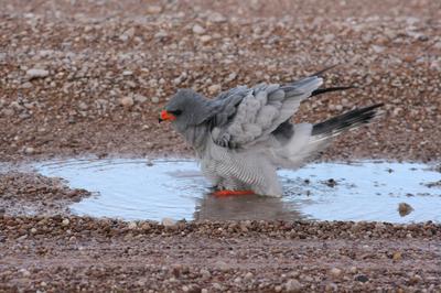 Do not disturb Iam having a bath.