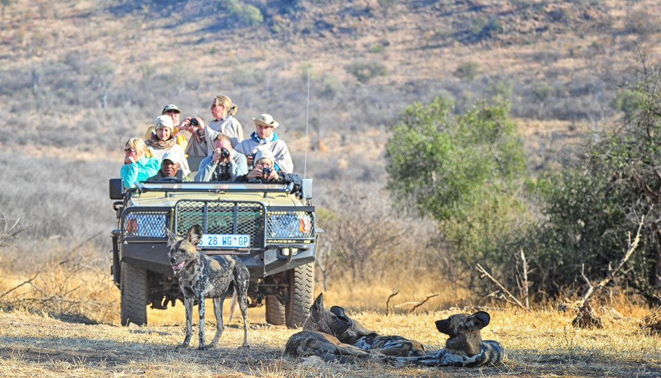 serengeti safari accident