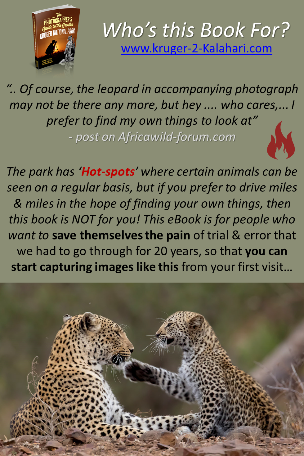 Leopard mother interacting with cub on S147