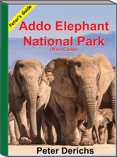safari books online annual subscription