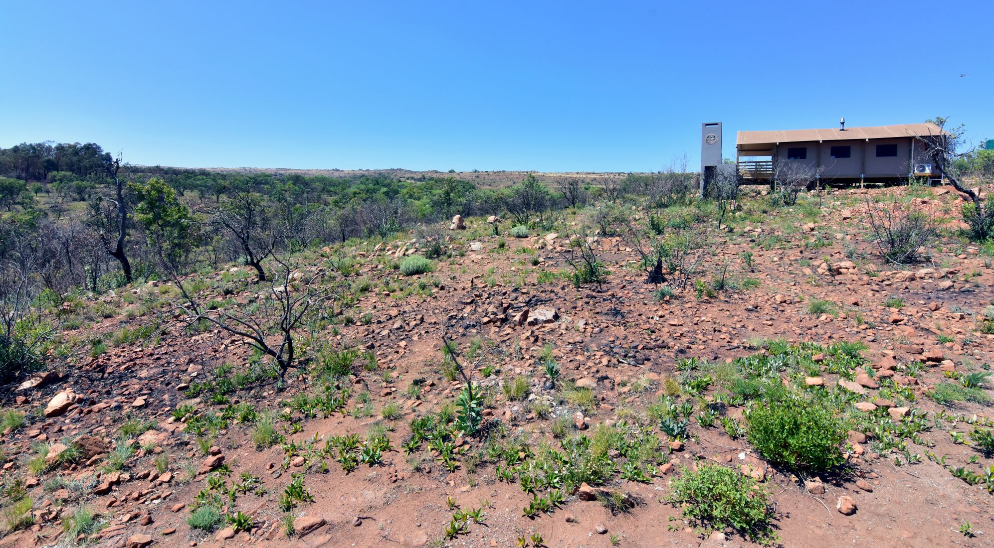 Africamps Magaliesberg tent