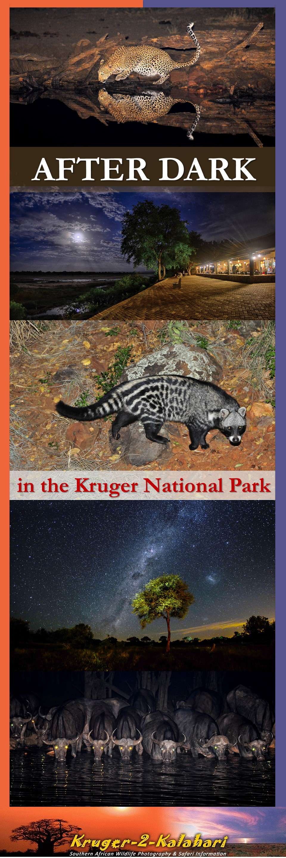 Kruger Park After Dark