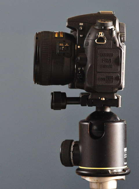 arca swiss monoball with Nikon D7000 camera