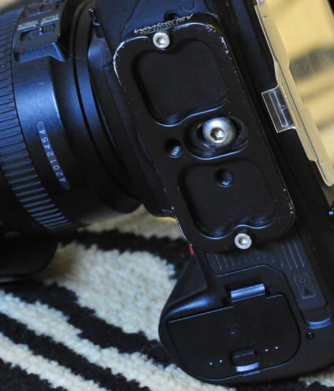 arca swiss plate on camera body
