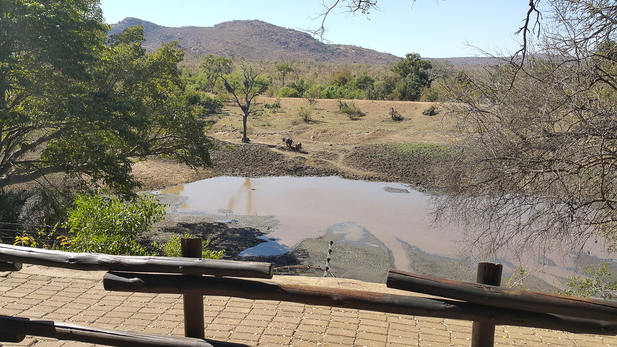 Matjulu dam in Berg en Dal camp during the dry season in the Kruger National Park