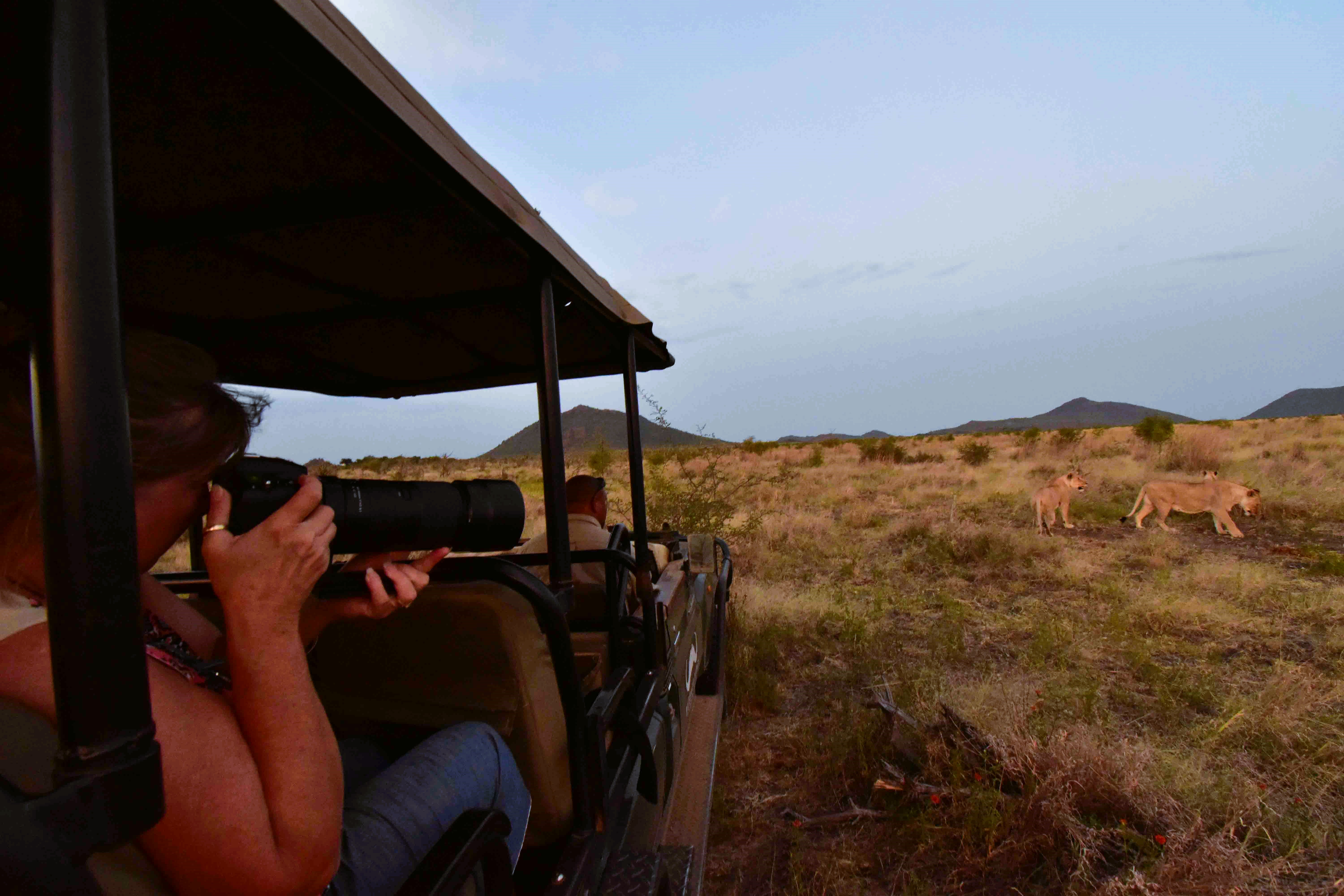 Jenny shooting the lions on Madikwe northern plains