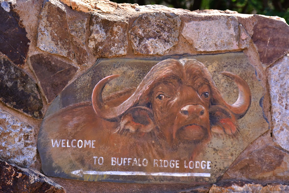 buffalo ridge safari lodge sign