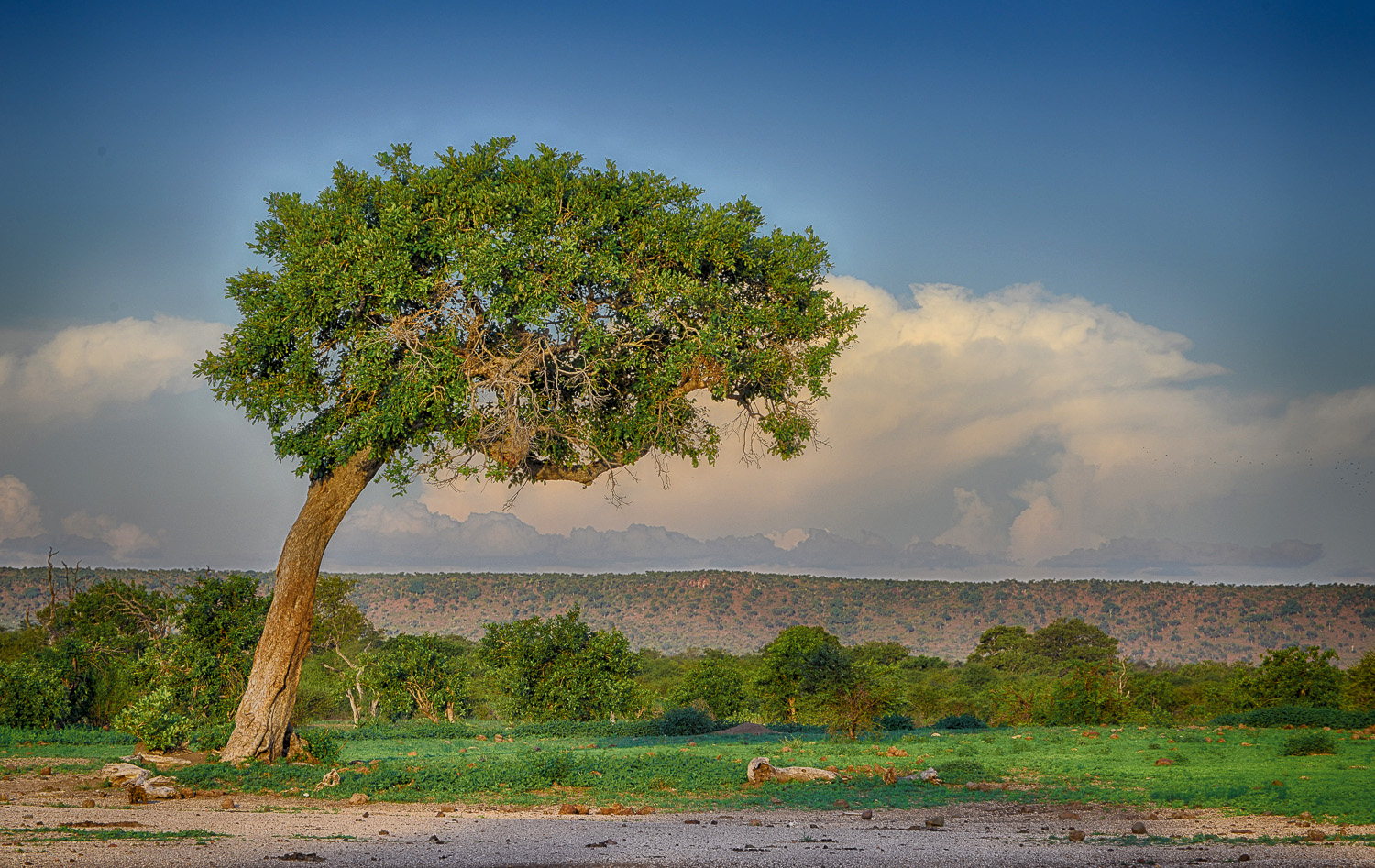Bangu waterhole on the S90 near Balule in the Kruger National Park