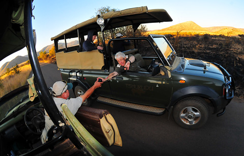 Game veiwing vehicles in Pilanesberg