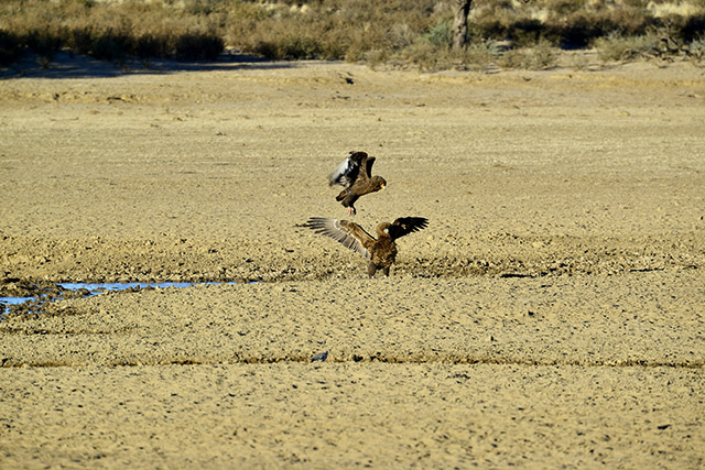 Nikon 80-400mm @ 400mm