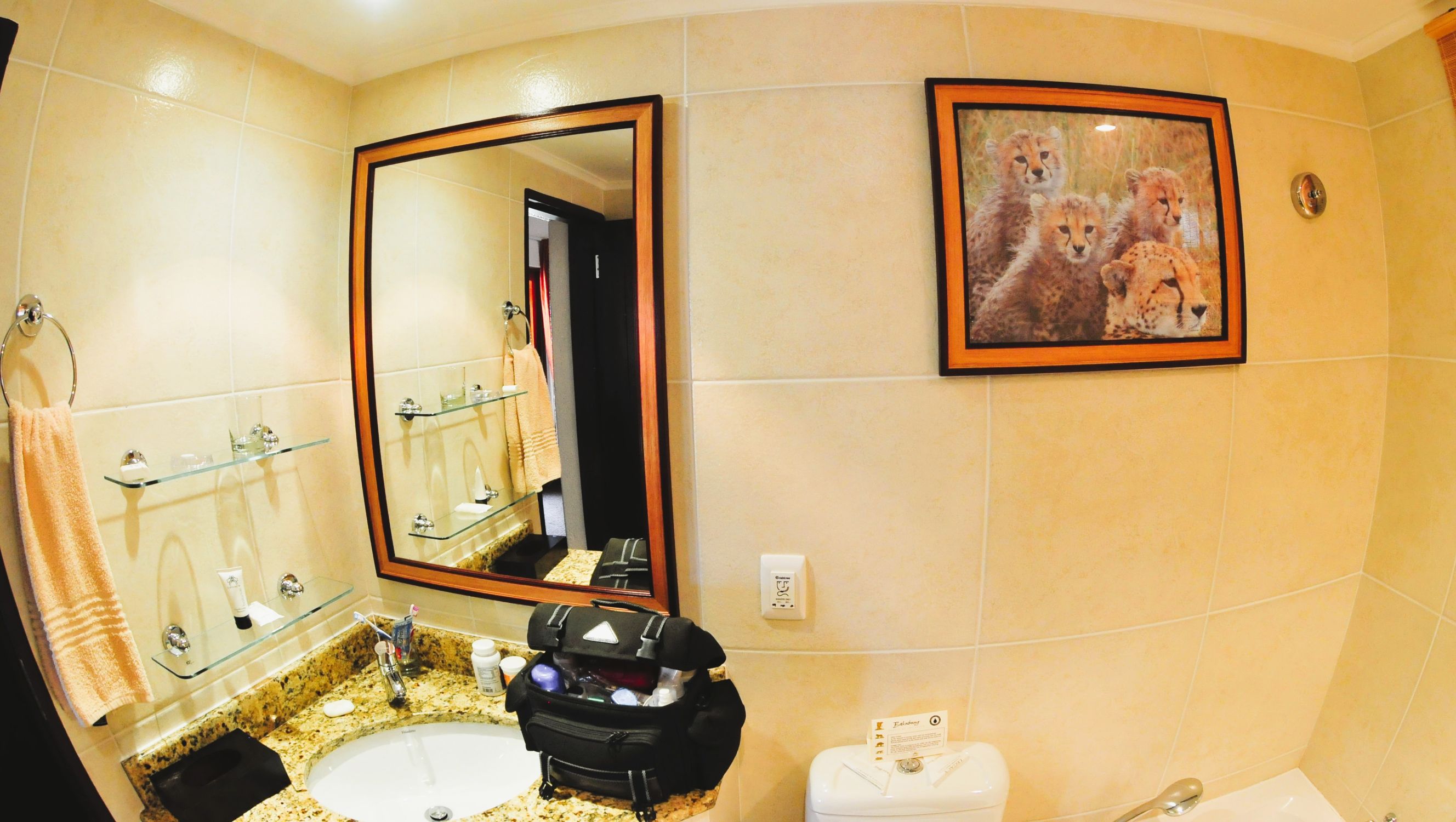 Bathroom at Bakubung Bush Lodge