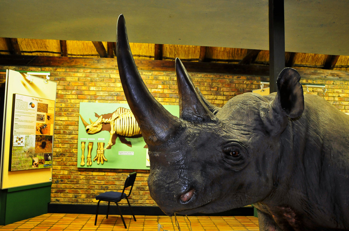 The Rhino Hall museum at Berg en Dal camp in the Kruger National Park