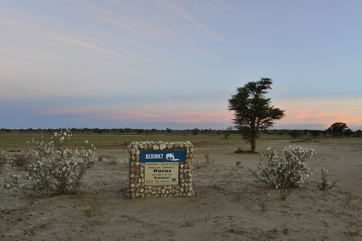 Bedinkt waterhole in the Kgalagadi