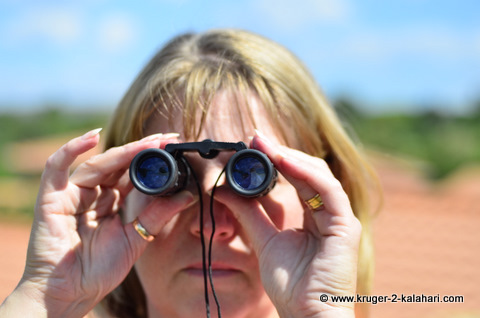 Safari Binoculars