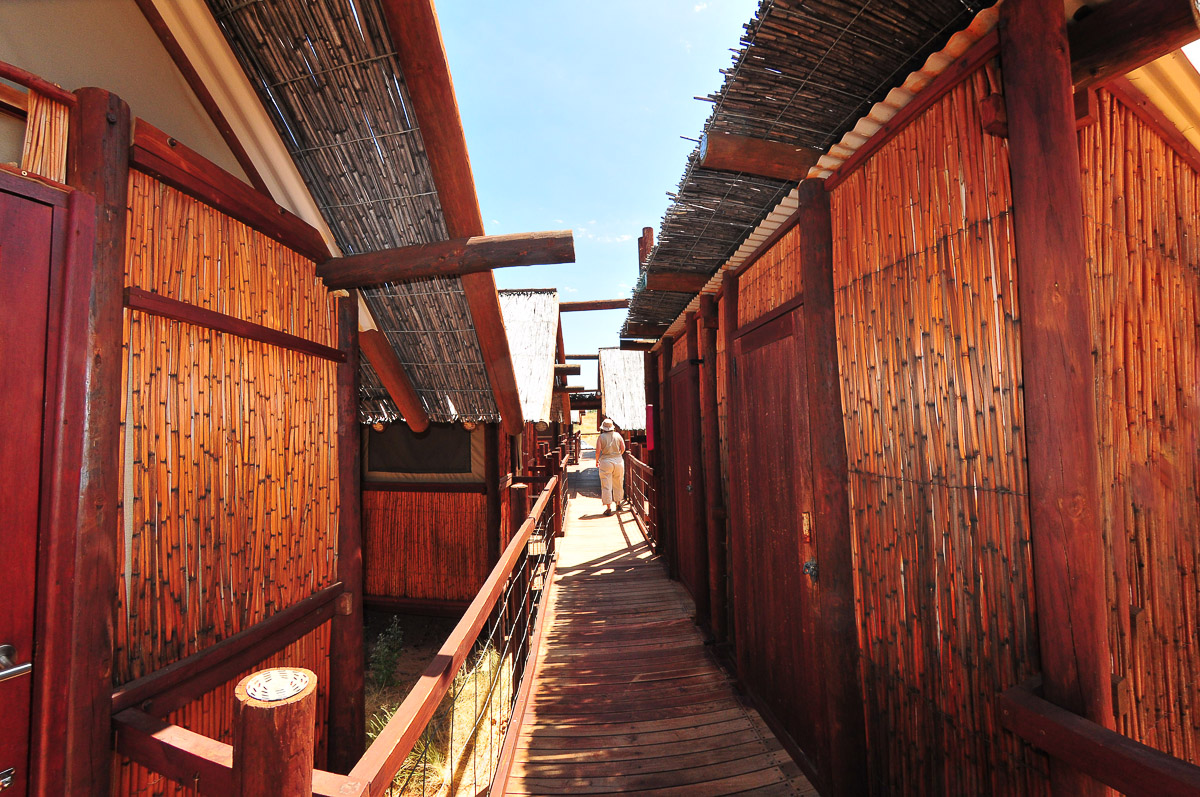Walkway between cabins and bathrooms at Bitterpan camp