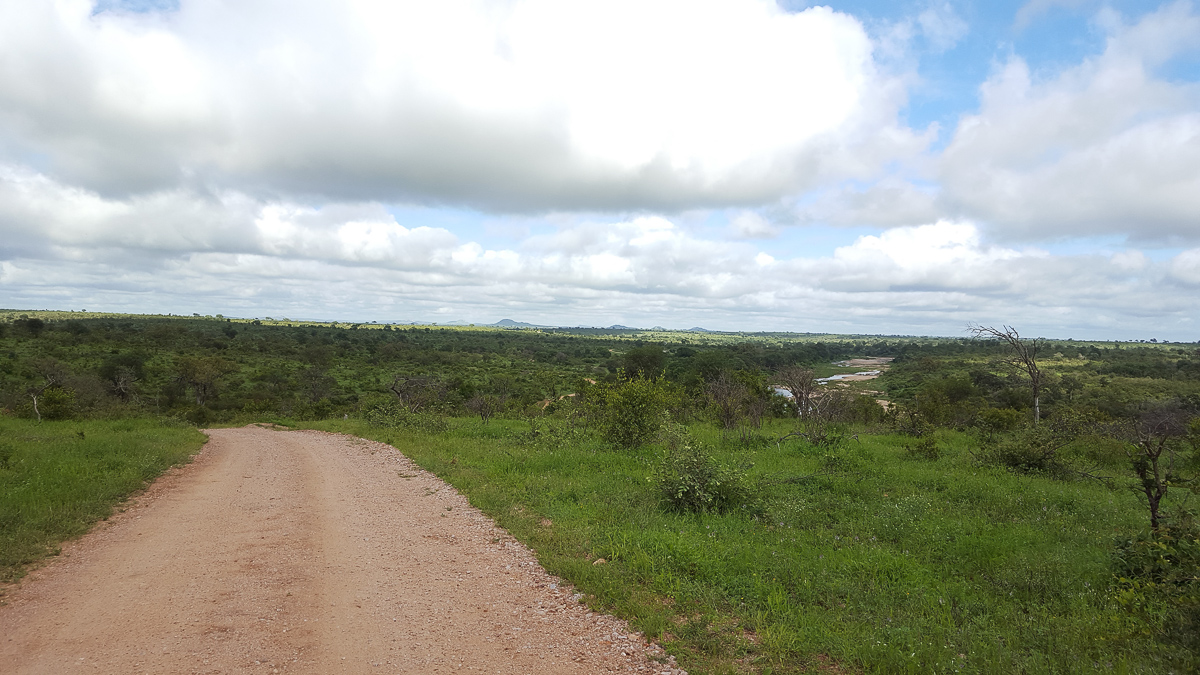 The Biyamiti S139 road with a view over the Biyamiti River in the Kruger National Park