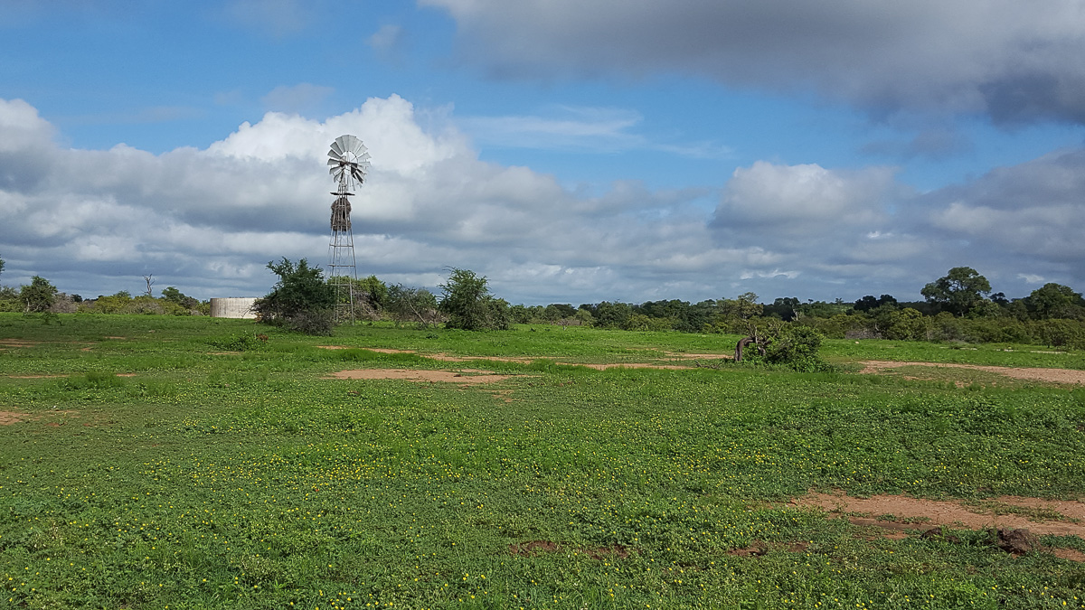 Biyamiti waterhole on the S139 private  road leading to Biyamiti Bushveld camp in the Kruger National Park