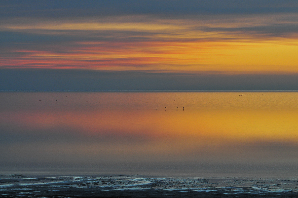 The colours dance across the Etosha pan