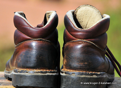 Safari footwear - Trailbuster boots