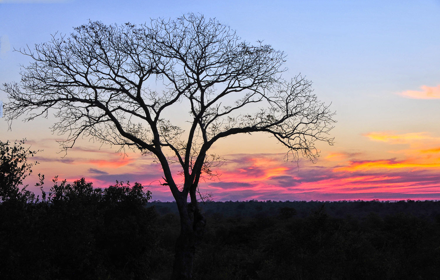 Sunset at Boulders Bush Lodge near Mopani in the Kruger National park