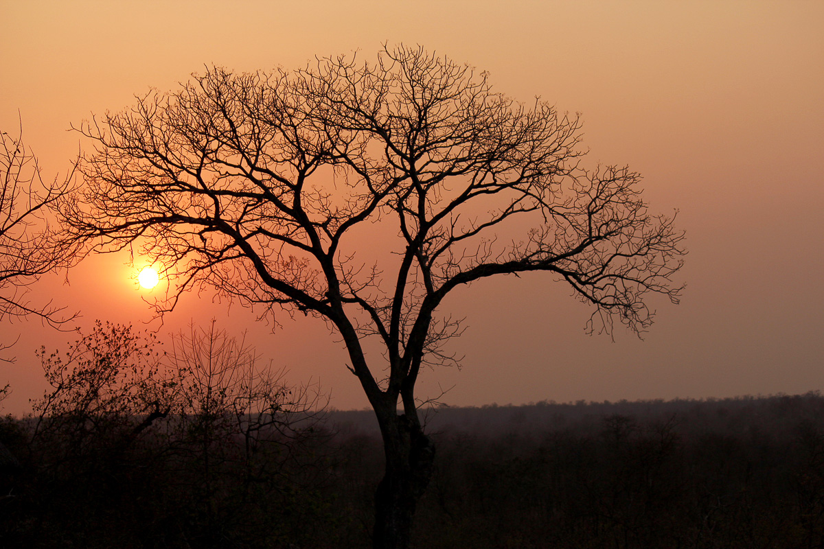 Sunset at Boulders Bush Lodge in the Kruger