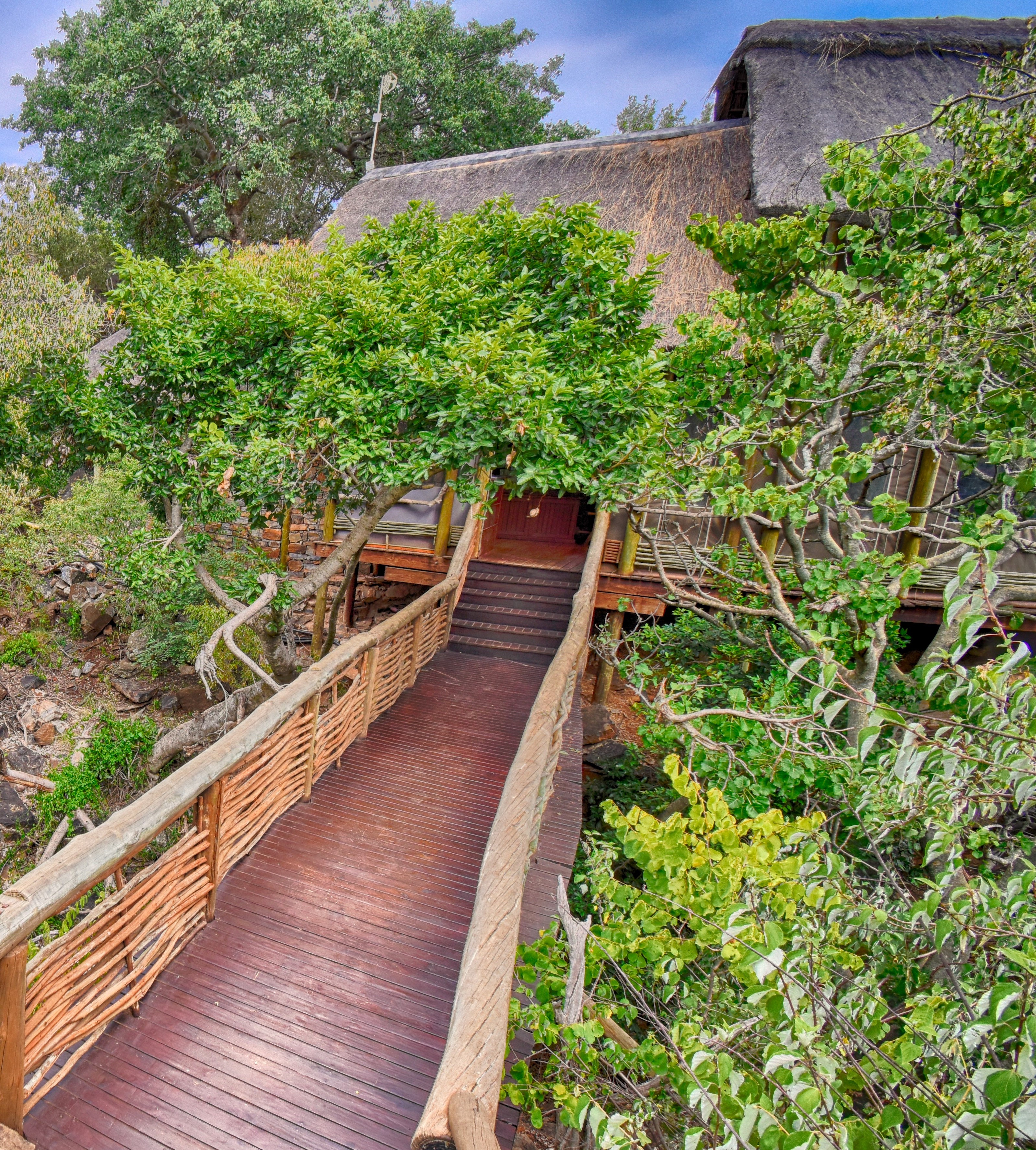 The wooden bridge at Buffalo Ridge Lodge in Madikwe