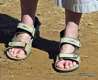 safari shoes zimbabwe