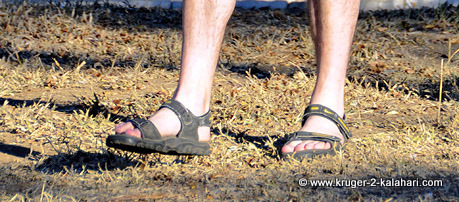bush sandals