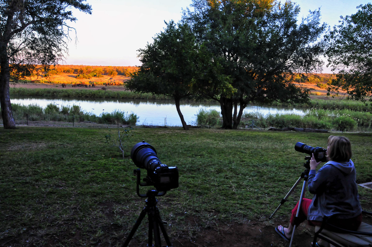 Our camera setup while photographing Elephant